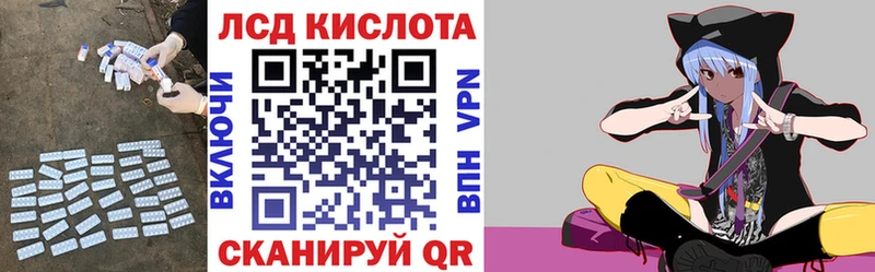 блэк спрут зеркало  где можно купить   Курчалой  Лсд 25 экстази кислота 