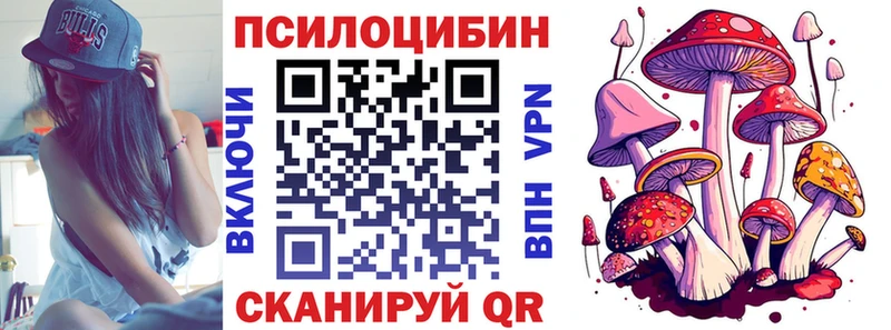 что такое наркотик Курчалой Псилоцибиновые грибы MAGIC MUSHROOMS